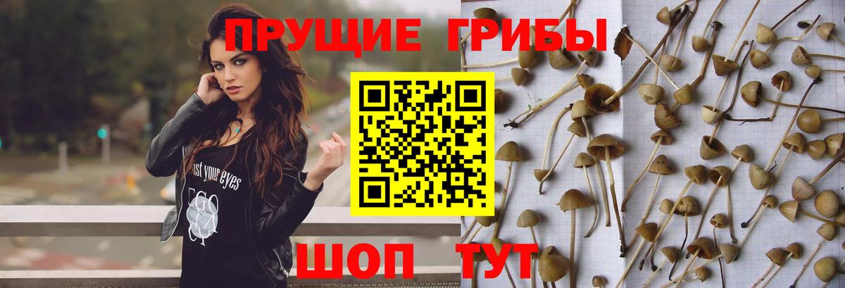 Сызрань  Галлюциногенные грибы ЛСД  Вход с VPN 